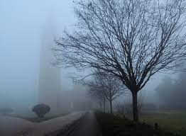 abbazia pomposa nebbia