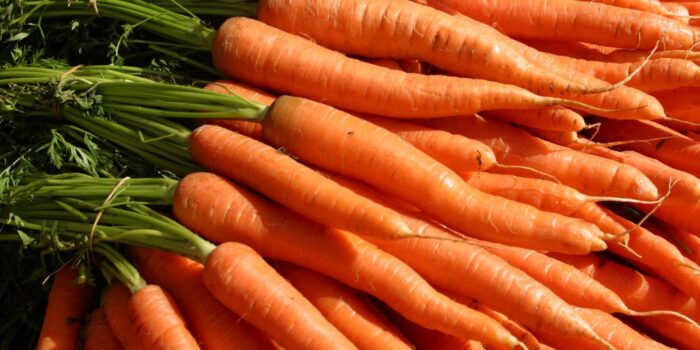 carote del delta