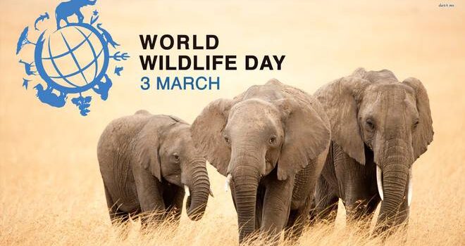 giornata mondiale della fauna selvatica
